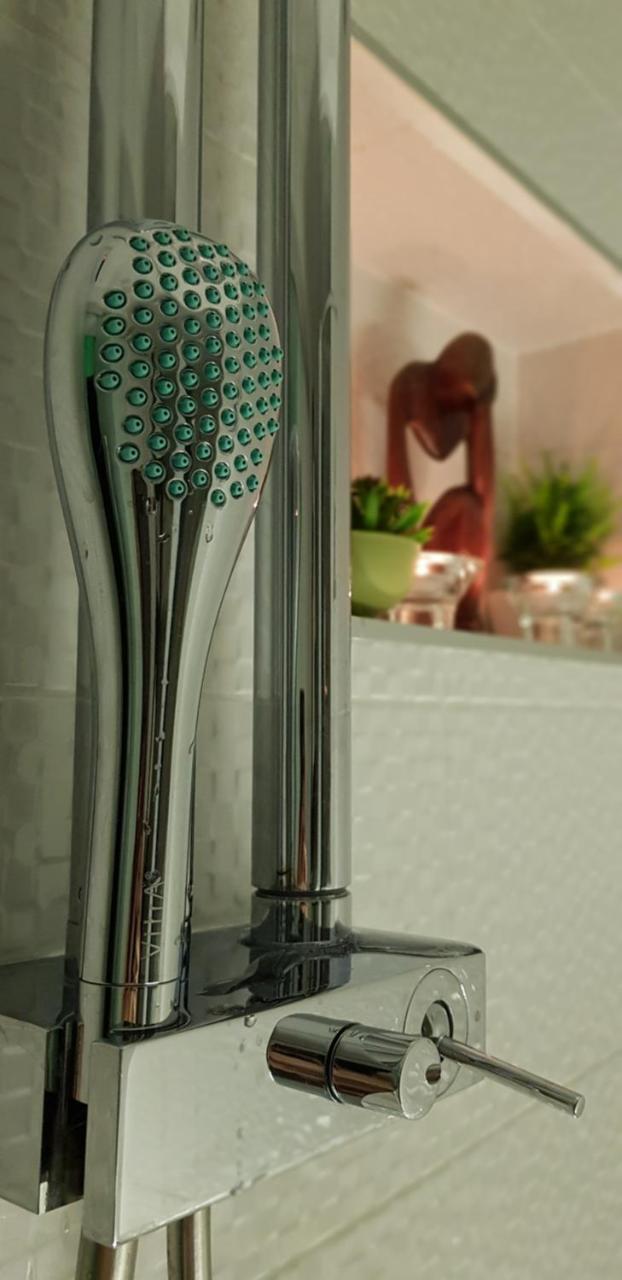 Apartment Plaza ----Wallbox 11Kw 16A ----- Private Spa- Jacuzzi, Infrared Sauna, Luxury Massage Chair, Parking, Entry With Pin 0 - 24H, Free Cancellation 24 Hours Before Check In Slavonski Brod Buitenkant foto